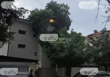 Жалби и обещани мерки преди 3 години - Дървото се стовари върху къща в Съдийски, преди да бъде отрязано