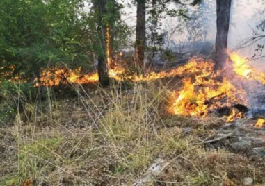 Военни се включиха в потушаването на пожара край Асеновград