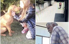 Собственикът на отровеното куче в Пловдив: Беше ужасен шок, този човек го направи без причина