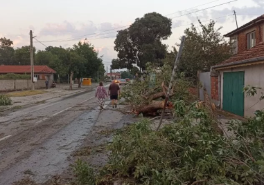 Ураганен вятър остави без ток села в общините Раковски, Калояново, Брезово и Марица