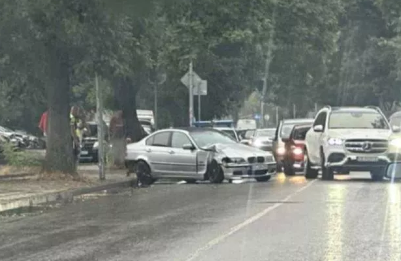 БМВ се заби в дърво на булевард в Пловдив БМВ се заби в дърво на булевард в Пловдив