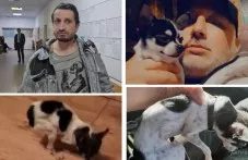 НПО за казуса “Мауси“: Никой ветеринар не е виждал кучето, каква експертиза изобщо има?