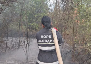 Пловдивската структура на НОРБ търси нови доброволци