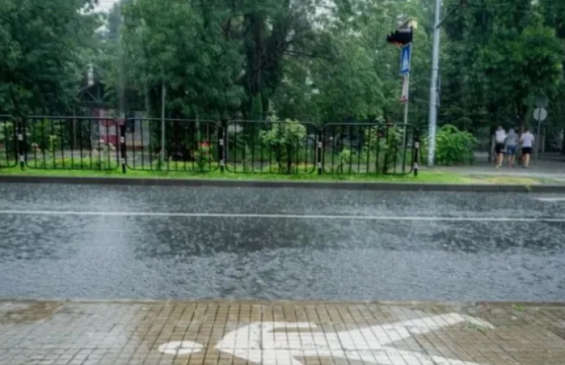 Дъждът, който мирише на живот: Какво е петракор и защо ни омагьосва?