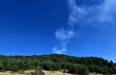 Пожар пламна в борова гора над Добростан, четири екипа огнеборци са на място