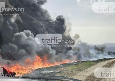 Пожарната в Пловдив предупреди за изключително висока опасност от избухване на огън