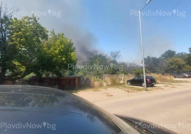 Пожар пламна до Ботаническата градина в Пловдив
