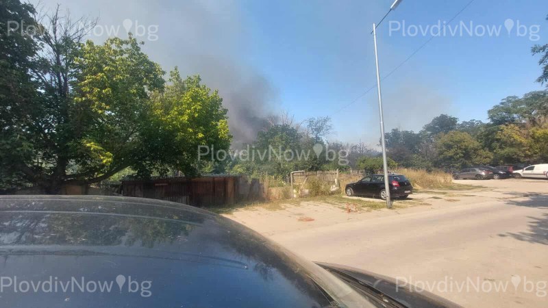 Пожар пламна до Ботаническата градина в Пловдив