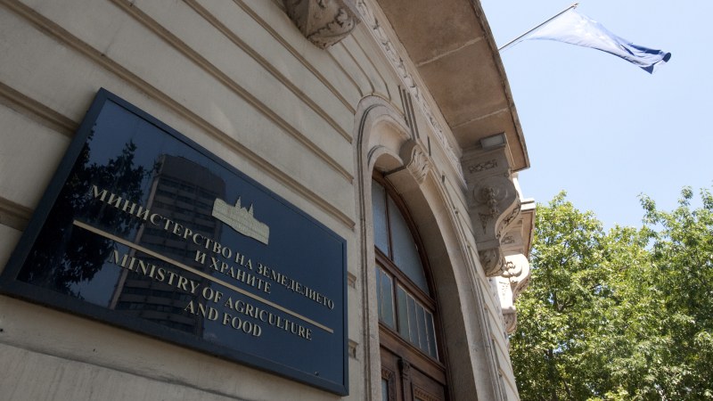 Министерства вдигат държавни такси преди приемането на еврото
