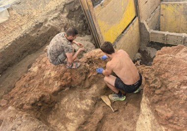 Археологическият музей кани на лекция за откритията от 2024 г.