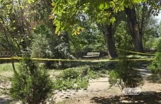 Откараха в болница мъжа, върху когото се стовари огромен клон по алеята на Марица