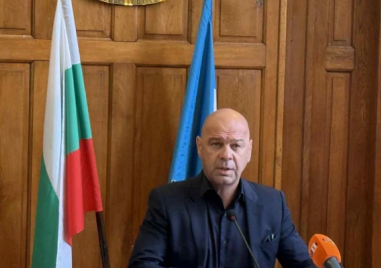 Кметът уволни директора на „Градини и паркове“, след като дърво уби човек