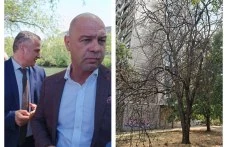 Умиращата зелена система на Пловдив започна да убива, а кметът не е просто съучастник