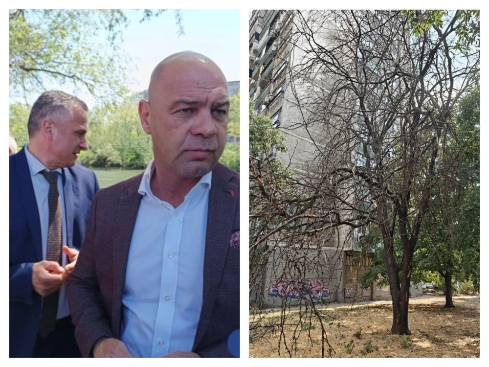 Умиращата зелена система на Пловдив започна да убива, а кметът не е просто съучастник