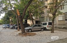 Жители на Кючука се оплакват от опасни дървета, не били премахнати въпреки заповед на кмета