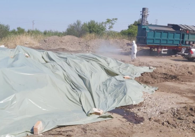 119 огнища на шарка в Пловдивско, засегнати са близо 12 000 животни
