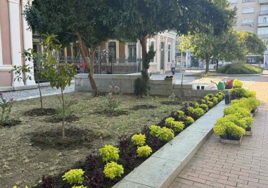 Облагородяват зелените площи на площад „Съединение“ за празника на Пловдив