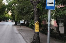 Жители на Кючука се включиха в борбата с опасните дървета, направиха табели за предупреждение