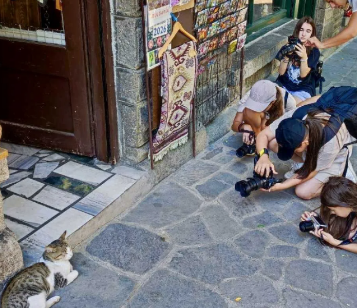 Кола блъсна котарака, любимец на Стария град