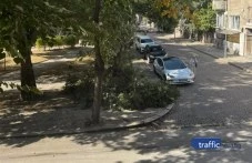 Огромен клон се стовари в центъра на Пловдив
