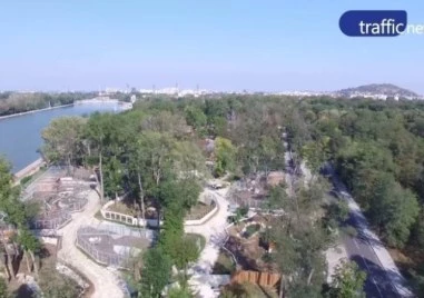 Европейска нощ на прилепите в Пловдив с рисувателно ателие, презентация и нощна разходка