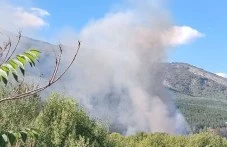 Шест екипа пожарникари пазят гората над Горнослав, в района се образува задръстване