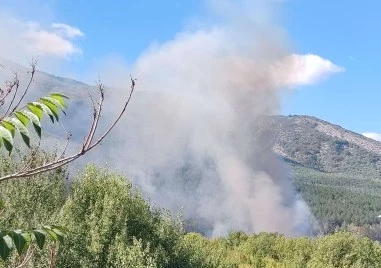 Шест екипа пожарникари пазят гората над Горнослав, в района се образува задръстване