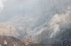Екипи на Пожарната остават да дежурят край Горнослав, стихията е засегнала над 150 декара гора