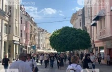 slancheva-i-topla-nedelia-plovdiv-881.webp
