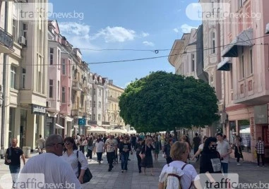 Слънчева и топла неделя в Пловдив