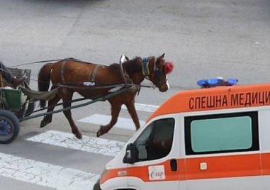 Каруца блъсна велосипедистка в Раковски