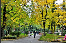 sabota-plovdiv-shte-se-reduvat-slantse-250.png