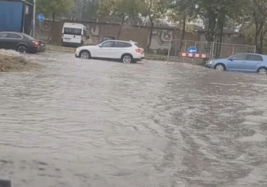 Паднали дървета, наводнени улици и кръстовища в Пловдив