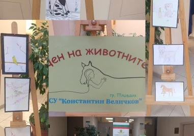 „Месец на животните и хората, които ги обичат“ започна в район „Южен“