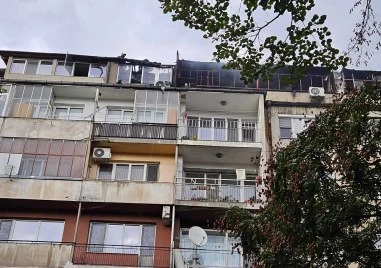 Община Пловдив е в готовност да подкрепи пострадалите от пожара до парк Каменица