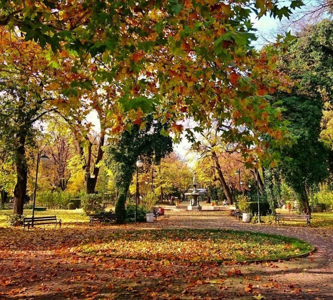 Събота в Пловдив - типично есенна, ветровита, с облаци и слънце