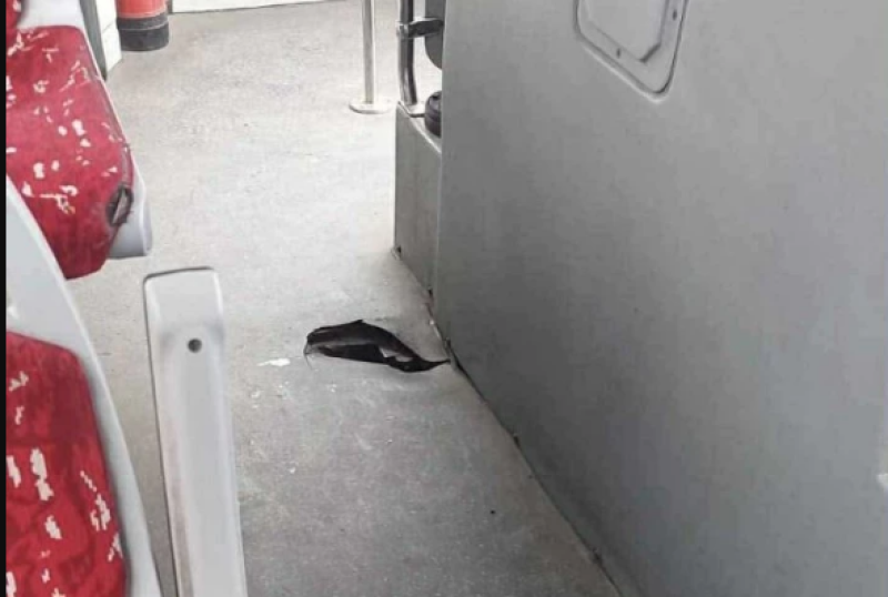Автобус с дупка в пода продължава да вози пътници в Пловдив