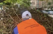 Екопроект в центъра на Пловдив се срина в хаоса на общинската комуникация ВИДЕО