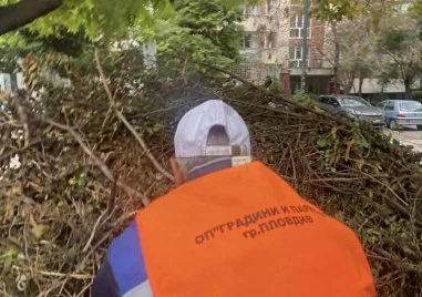 Екопроект в центъра на Пловдив се срина в хаоса на общинската комуникация ВИДЕО