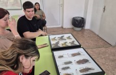 Природонаучен панаир ще има в Пловдив - 5 дни занимания, игри и открития за малки и големи