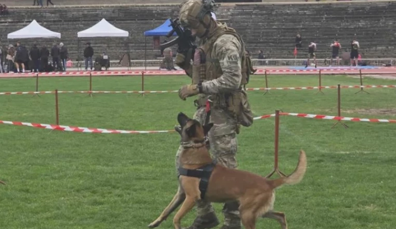 Военни показаха впечатляващи способности на спортен празник в Пловдив ВИДЕО