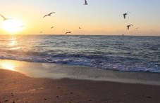 31 октомври - Международен ден на Черно море