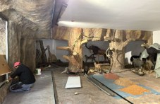 Ново зоокафе и зала към Природонаучния музей отварят врати през ноември