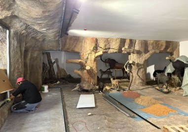 Ново зоокафе и зала към Природонаучния музей отварят врати през ноември