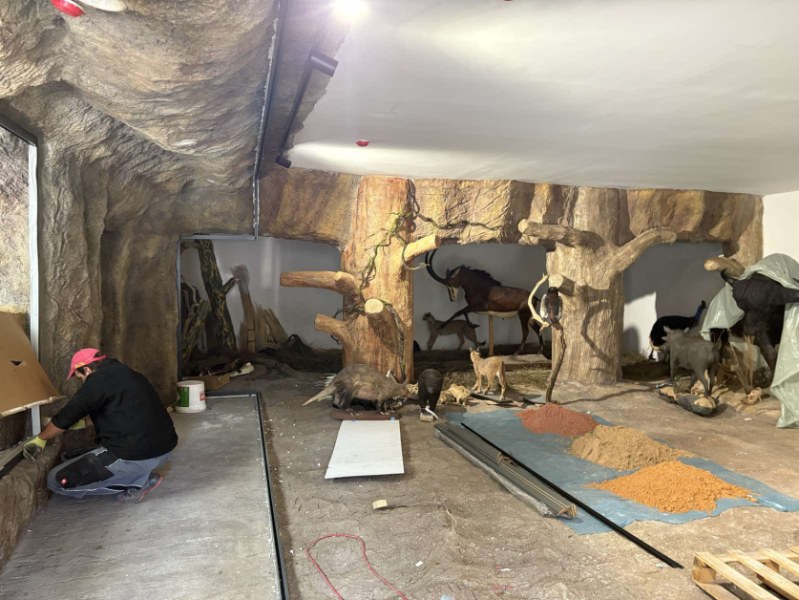 Ново зоокафе и зала към Природонаучния музей отварят врати през ноември
