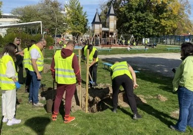 Район „Западен“ с поредна инициатива за залесяване и облагородяване
