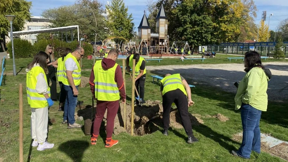 Район „Западен“ с поредна инициатива за залесяване и облагородяване