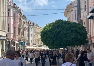 Слънчева неделя в Пловдив, но с градус-два по-хладна