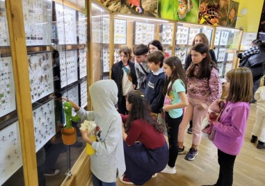 Уикенд на двукрилите в Природонаучния музей в Пловдив