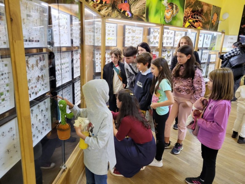 Уикенд на двукрилите в Природонаучния музей в Пловдив